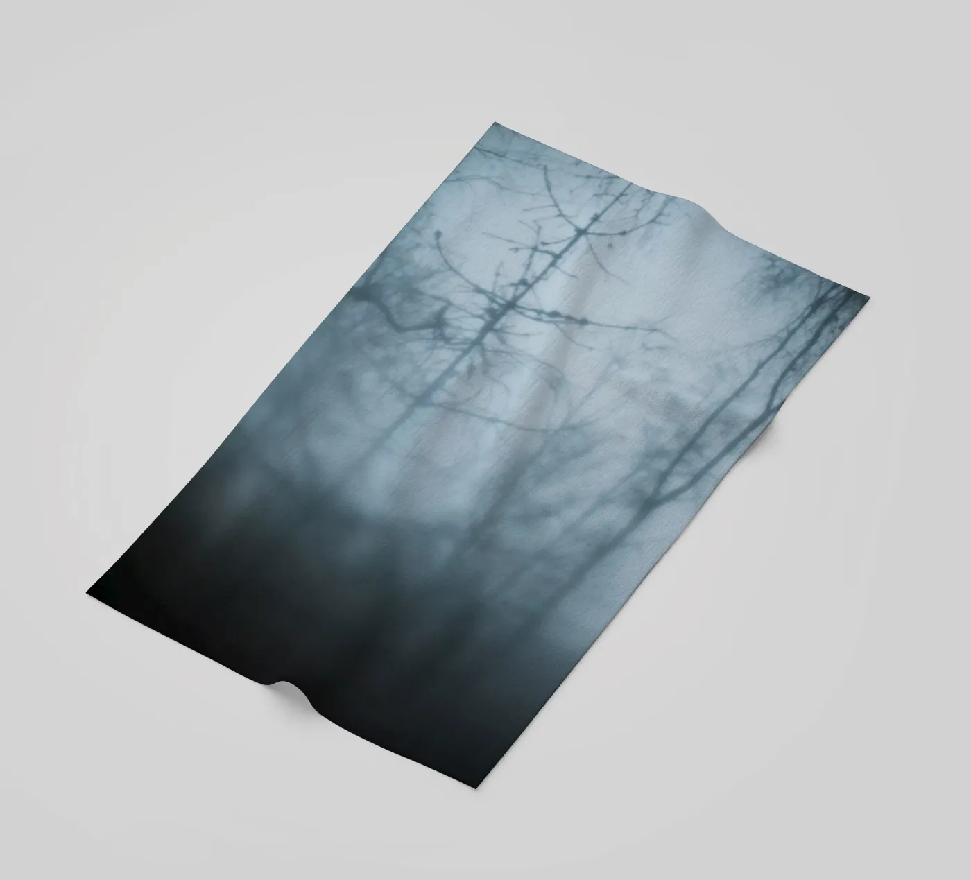 Naked Trees telo mare da Klaus with K