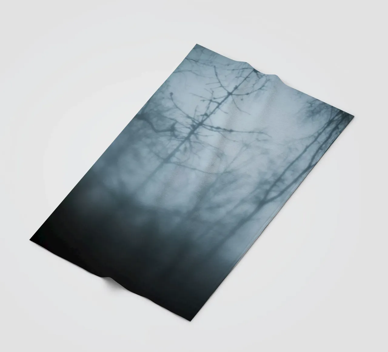 Naked Trees coperta in pile da Klaus with K