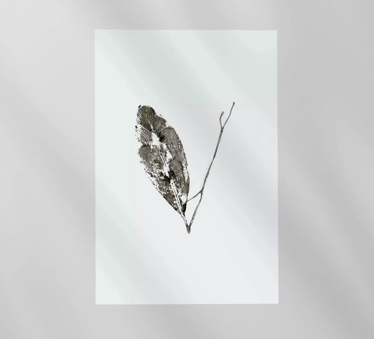 V pellicola backlit da Marina Guiu