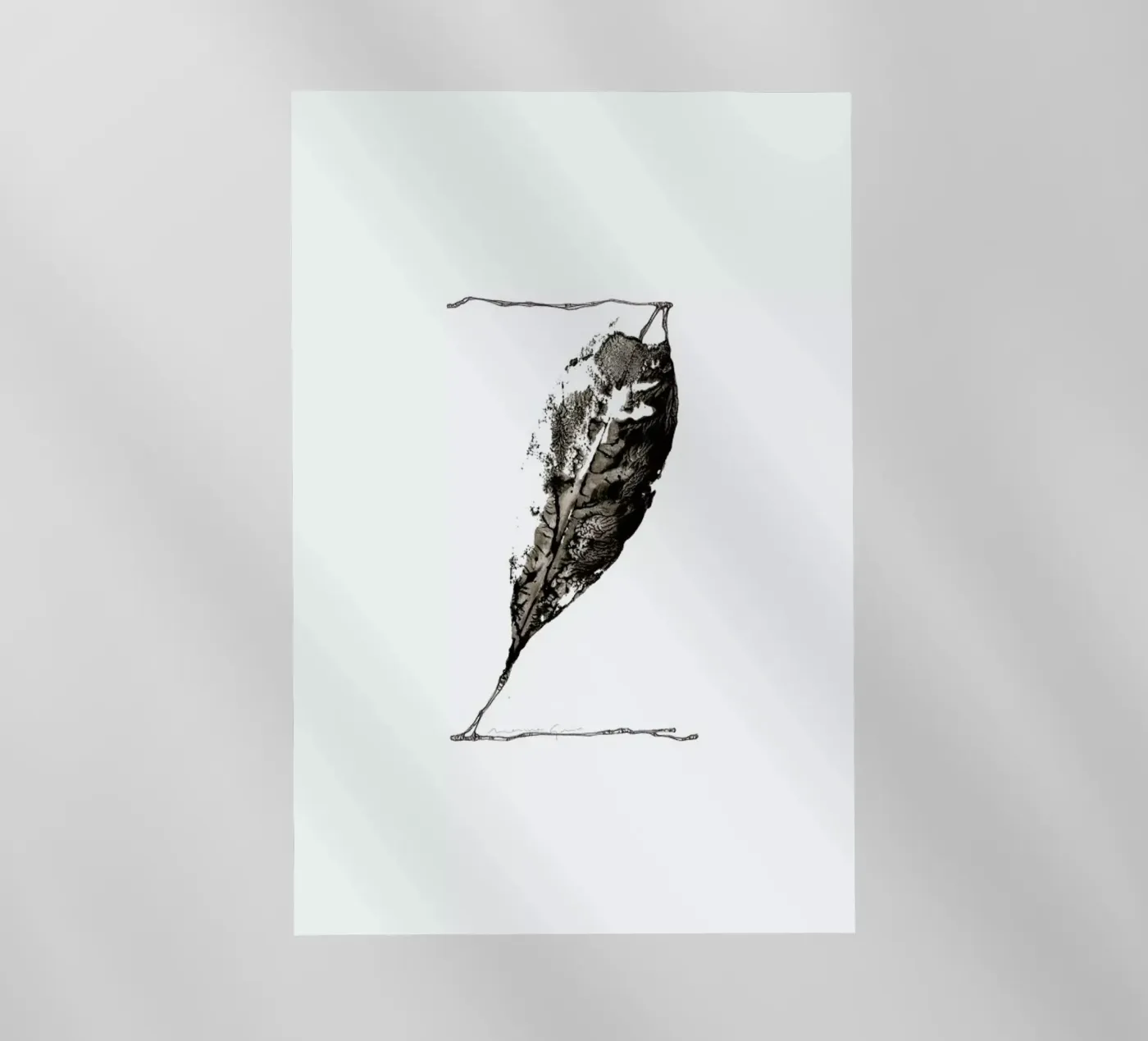 Z pellicola backlit da Marina Guiu