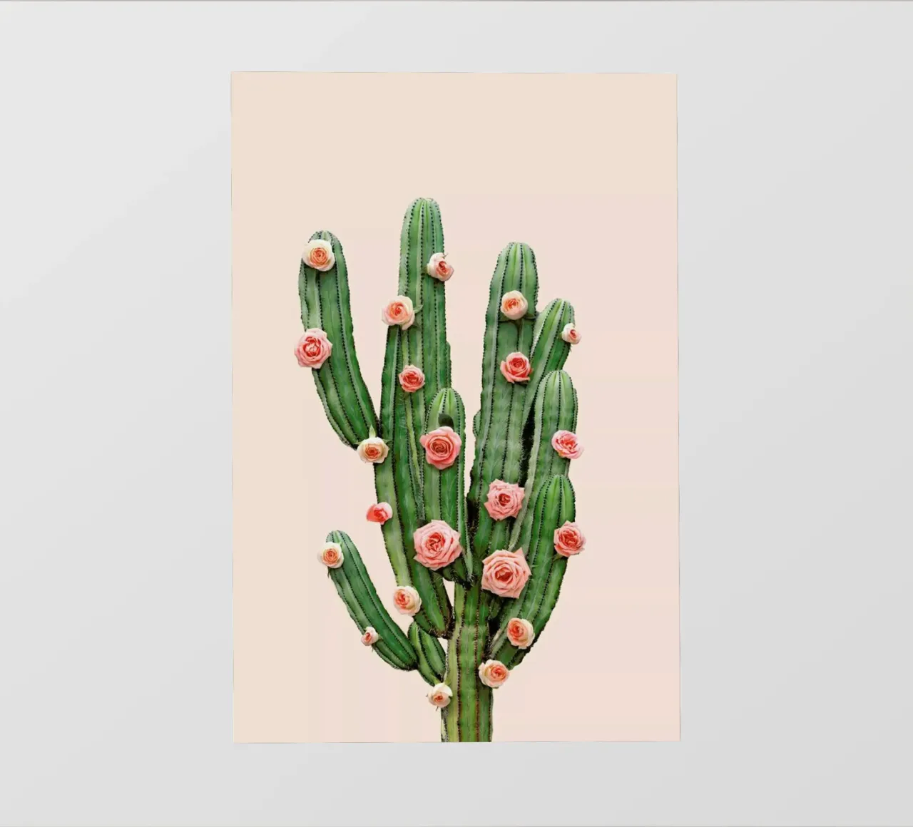 Cactus Roses telo in pvc da Paul Fuentes Design