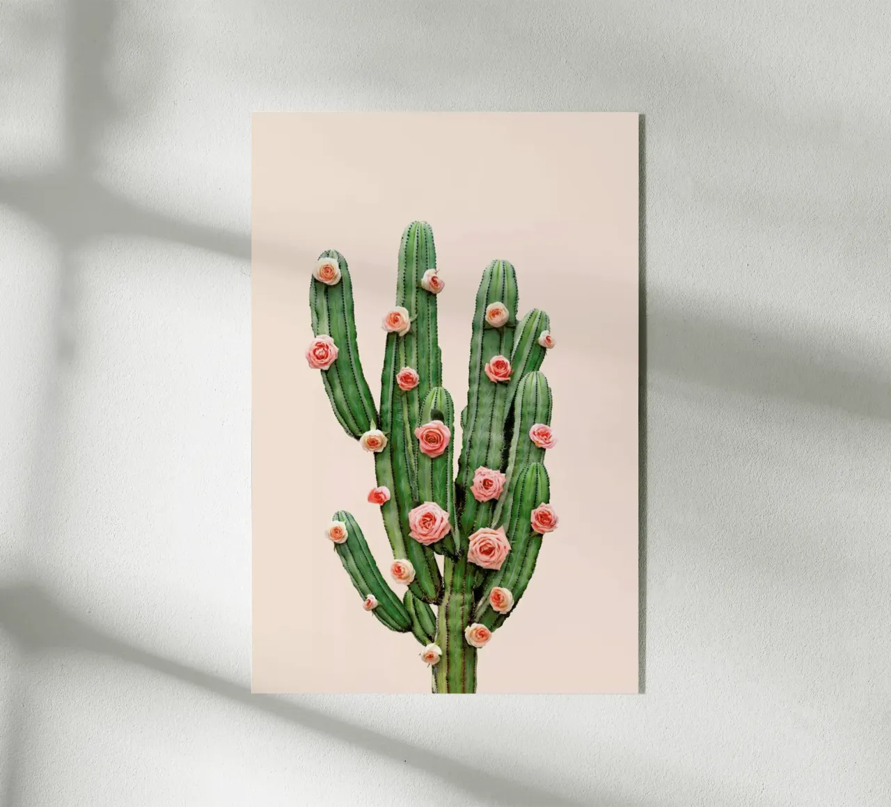 Cactus Roses plexiglass da Paul Fuentes Design