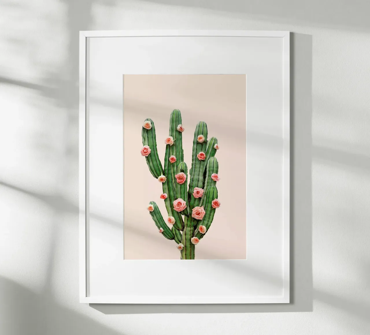 Cactus Roses poster con telaio in legno da Paul Fuentes Design