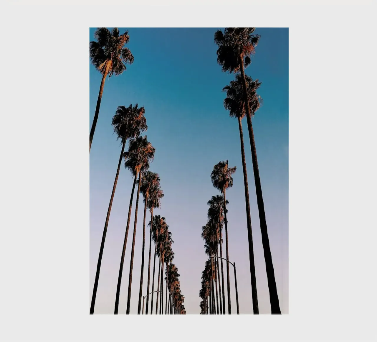 Wanna Be in LA by @samfn notebook by EyeEm Mobile GmbH