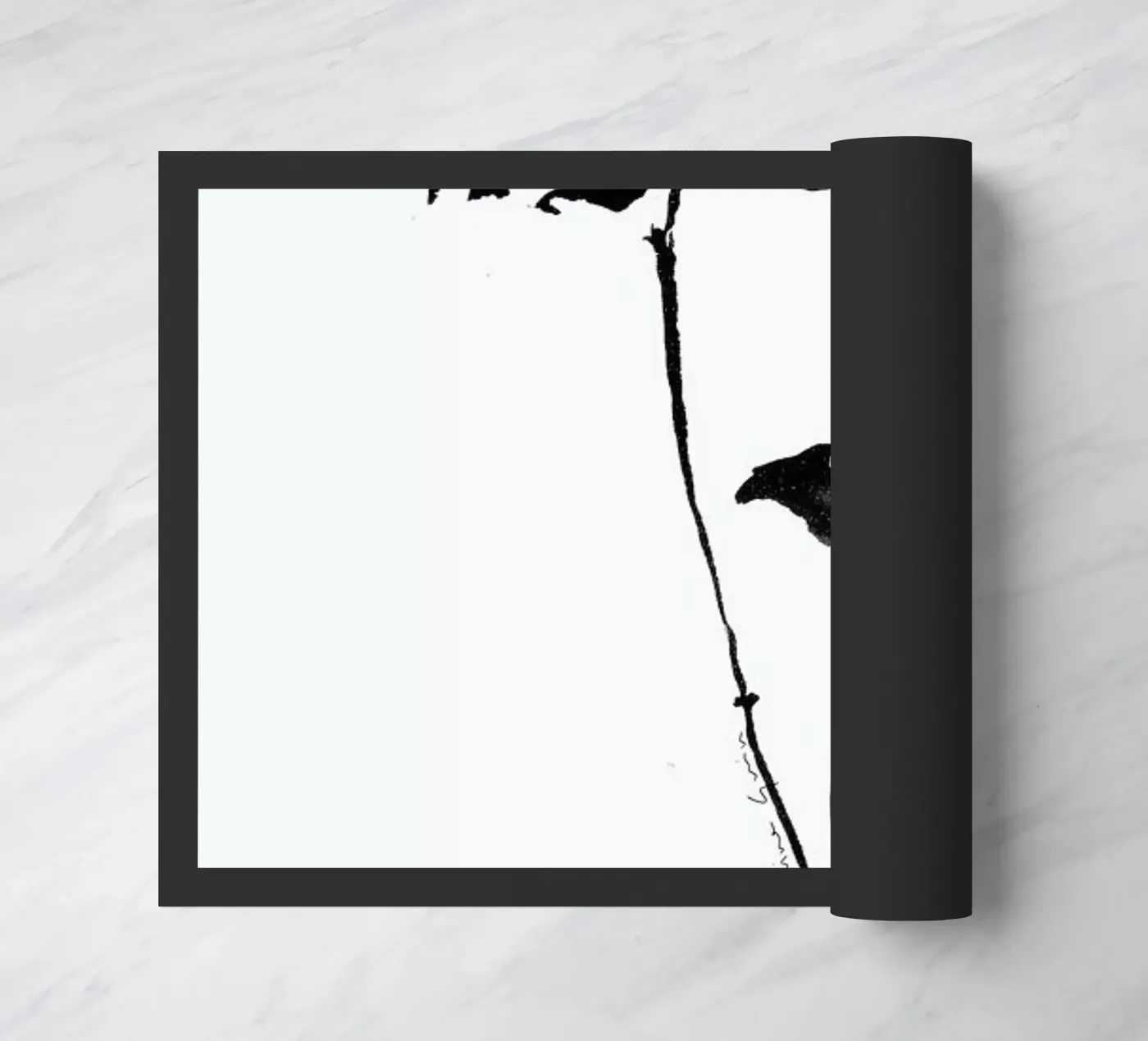 Orchid 3 zerbino da Marina Guiu