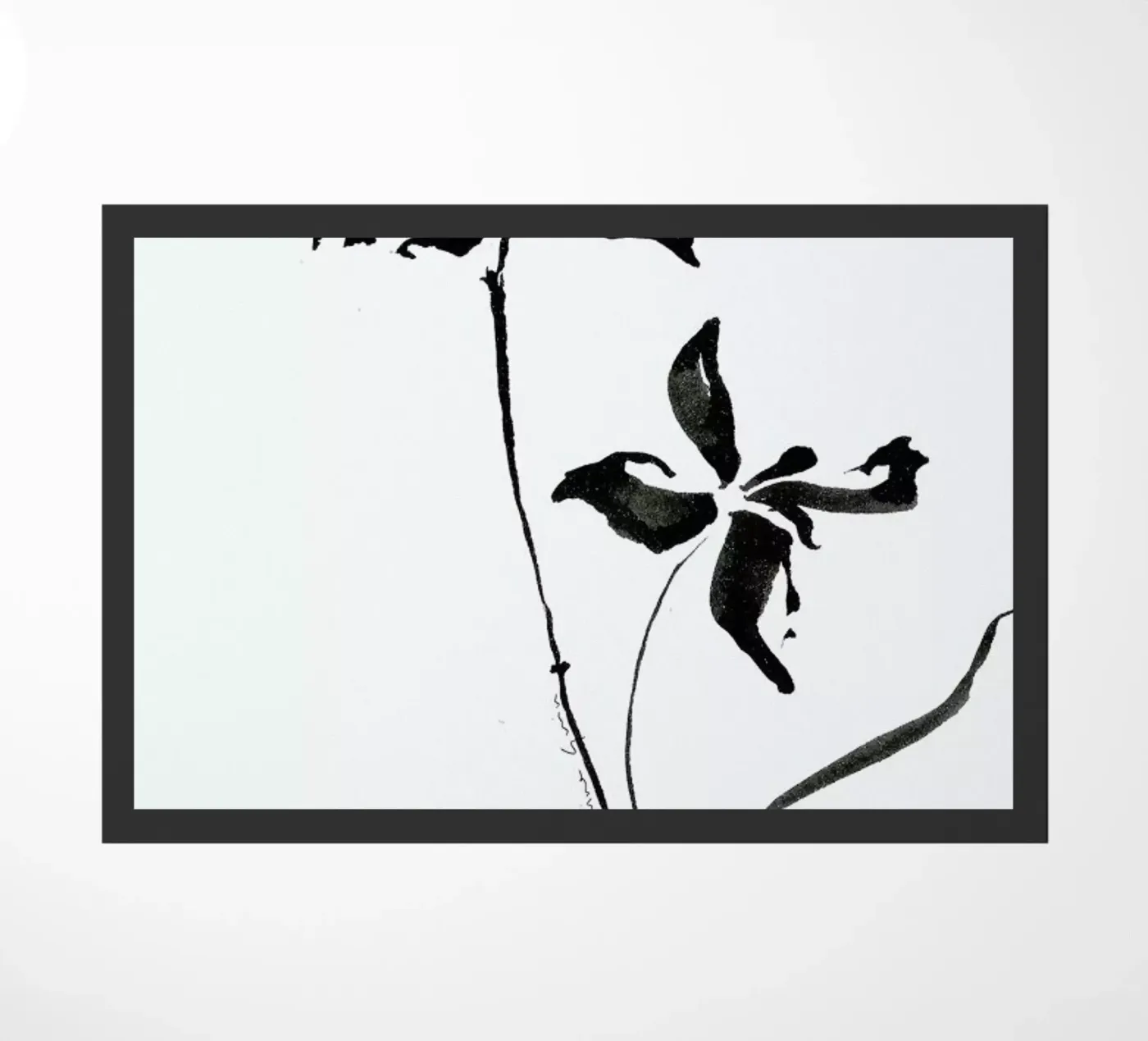 Orchid 3 zerbino da Marina Guiu