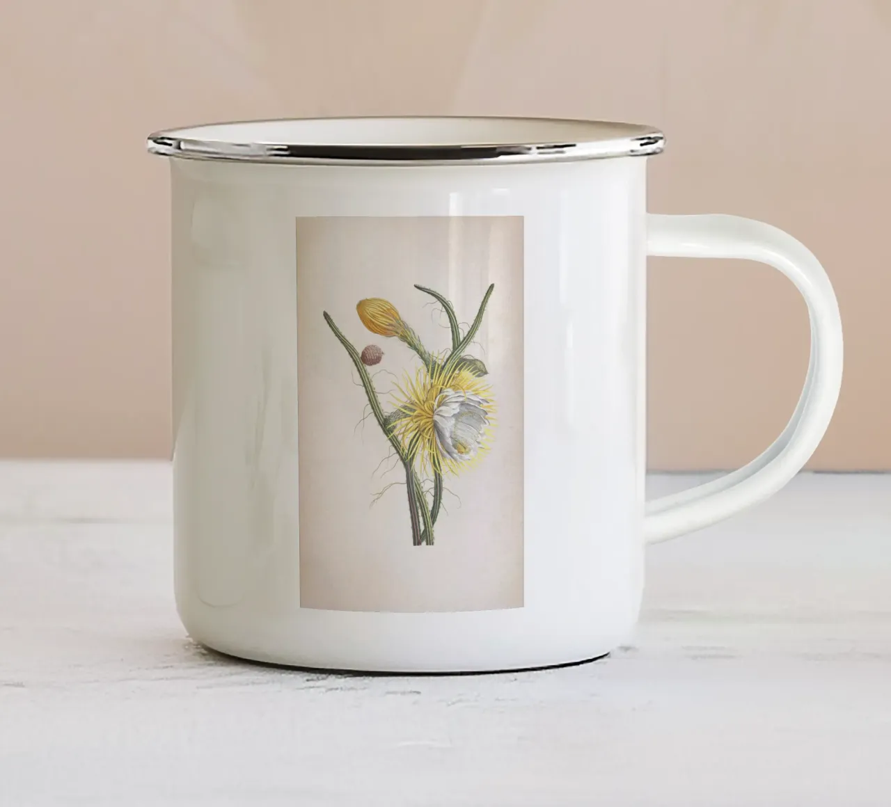 Vintage Ehret 1 Cereus Gracilis tazza in smalto da Vintage Print Collection
