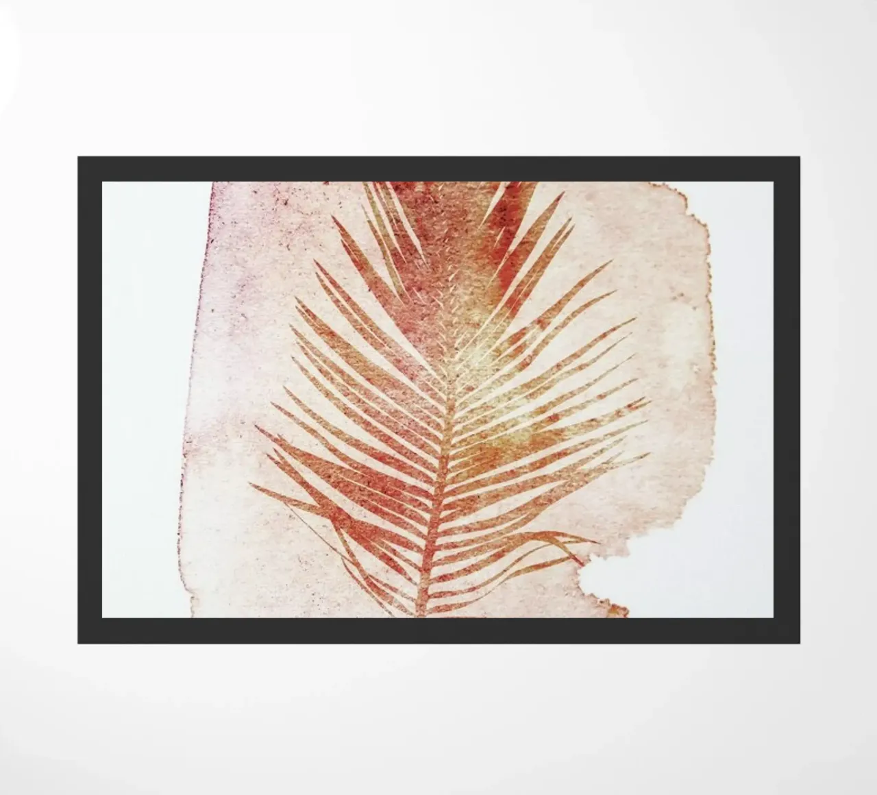 Pressed Cycas zerbino da Shot By Clint