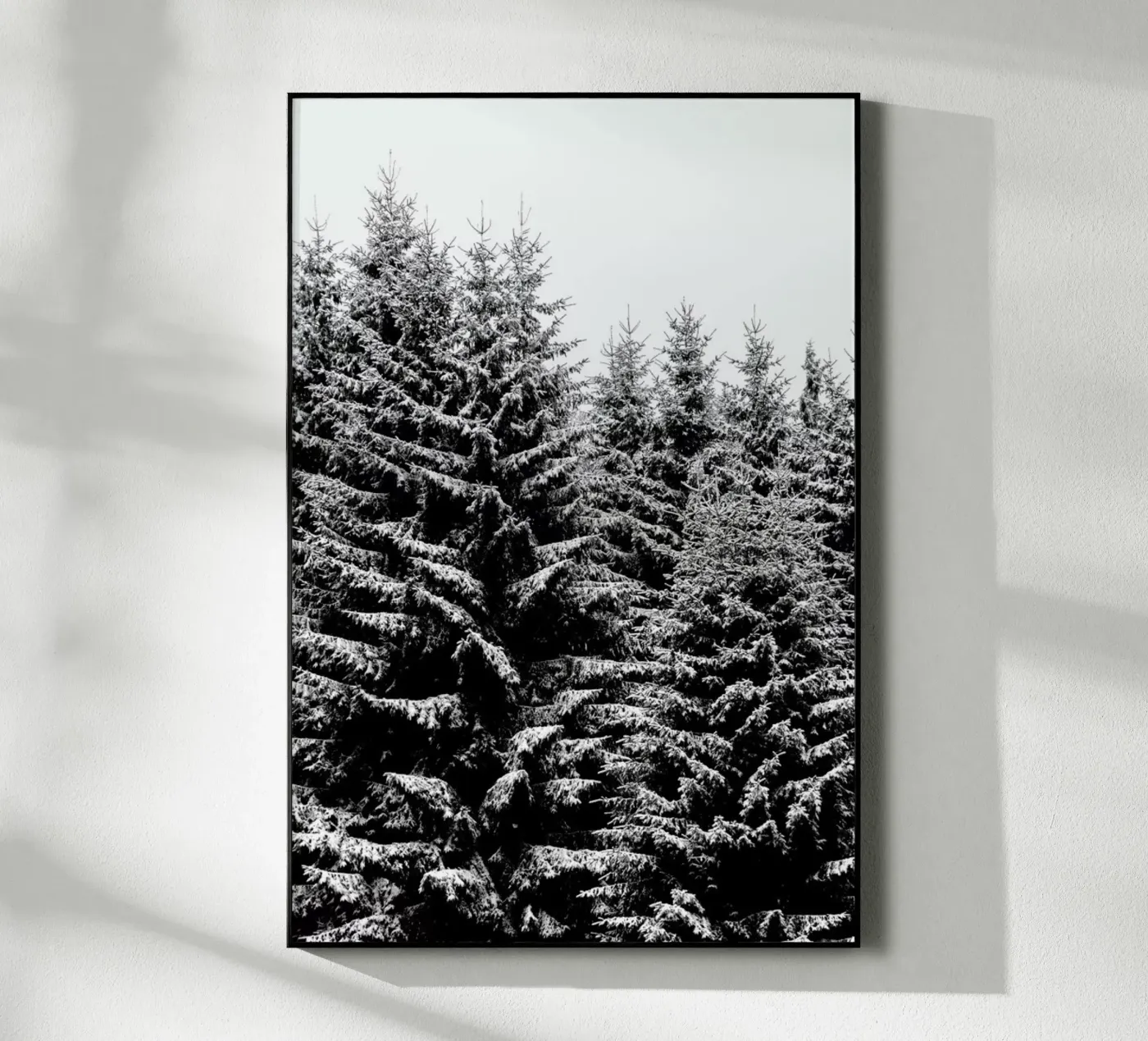 Snowy Christmas Trees plexiglass da Studio Nahili