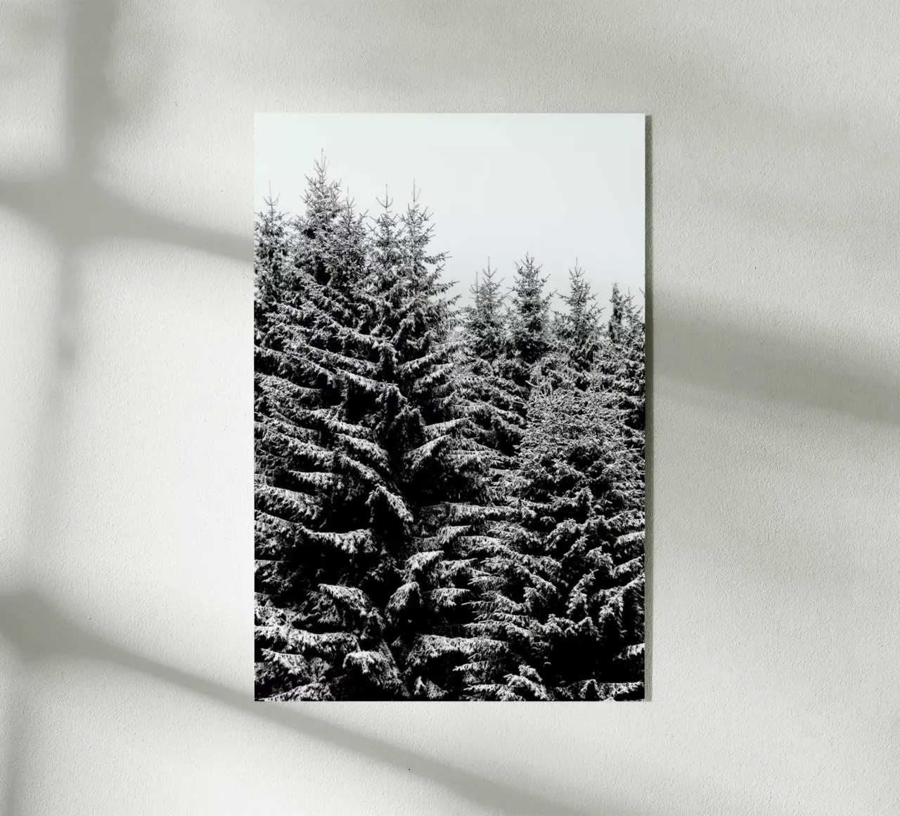 Snowy Christmas Trees plexiglass da Studio Nahili