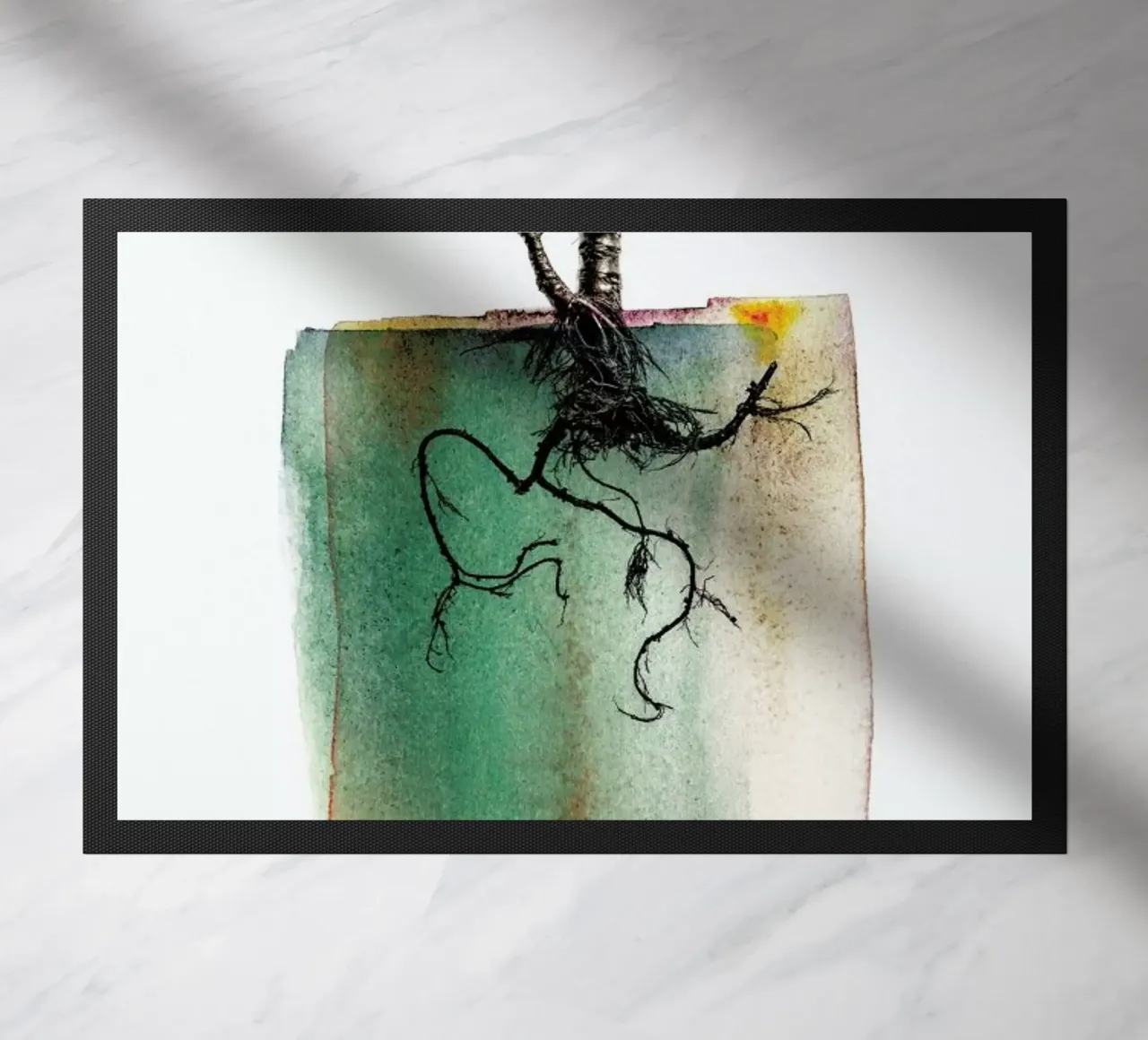 Crassula zerbino da Shot By Clint