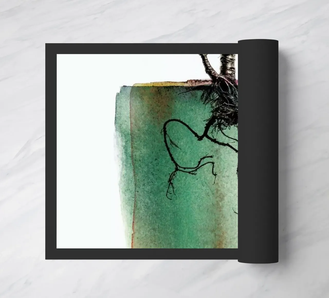 Crassula zerbino da Shot By Clint