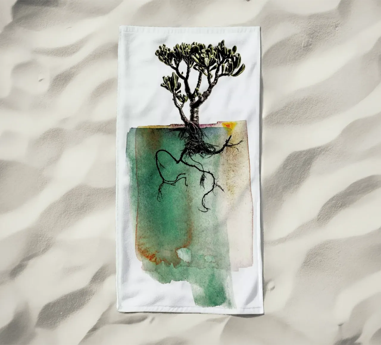 Crassula telo mare da Shot By Clint