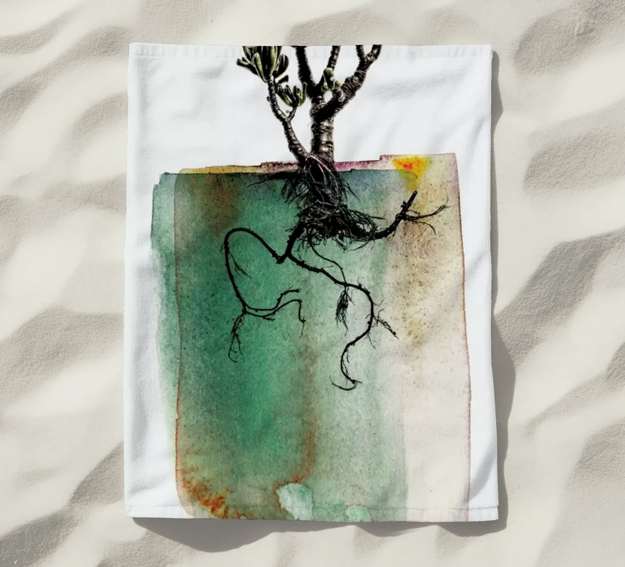 Crassula telo mare da Shot By Clint