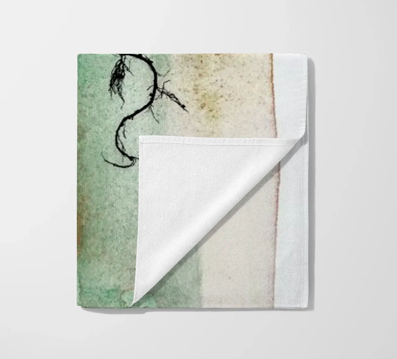 Crassula telo mare da Shot By Clint