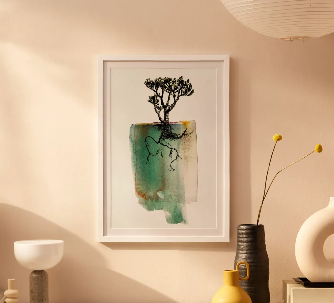 Crassula poster da Shot By Clint