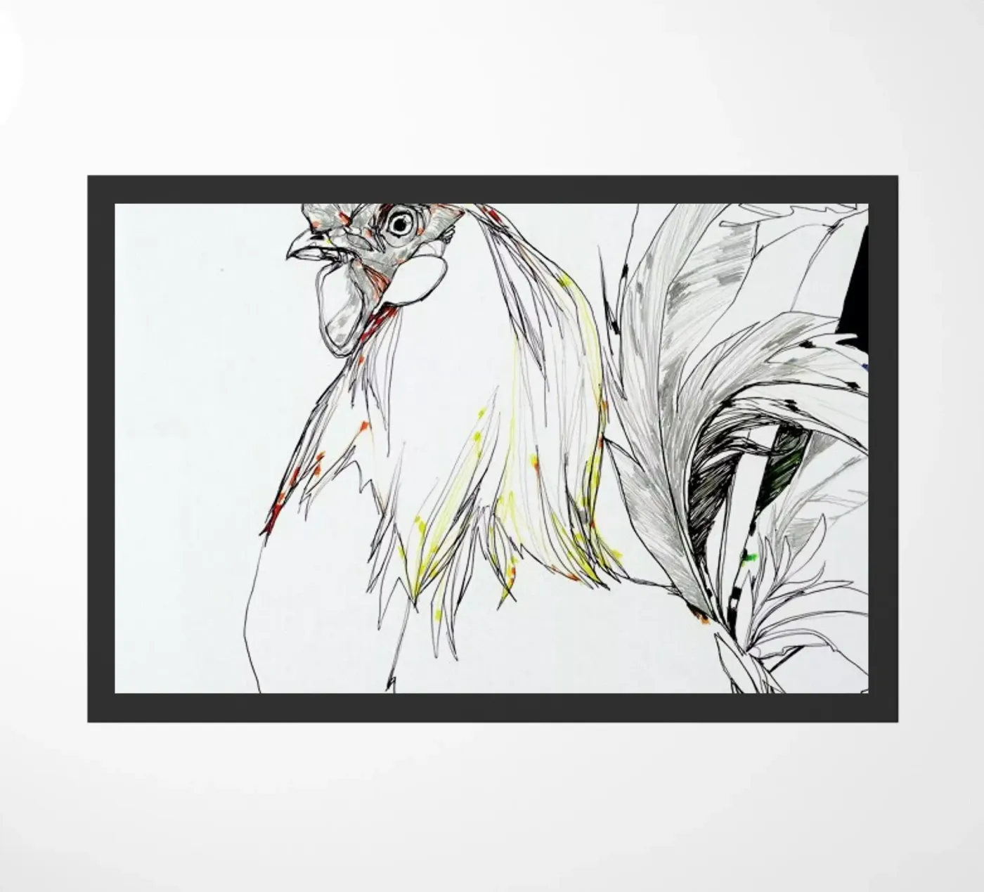 Cock zerbino da Mala Alani