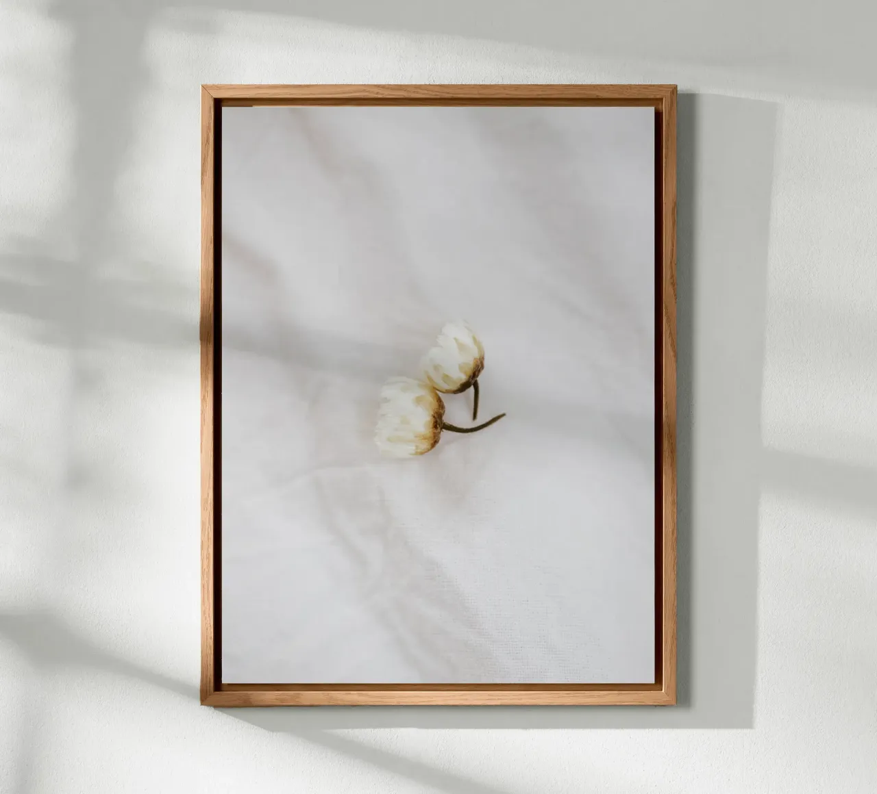 Amore floreale semplice - margherite su lino bianco alluminio dibond da youdiful