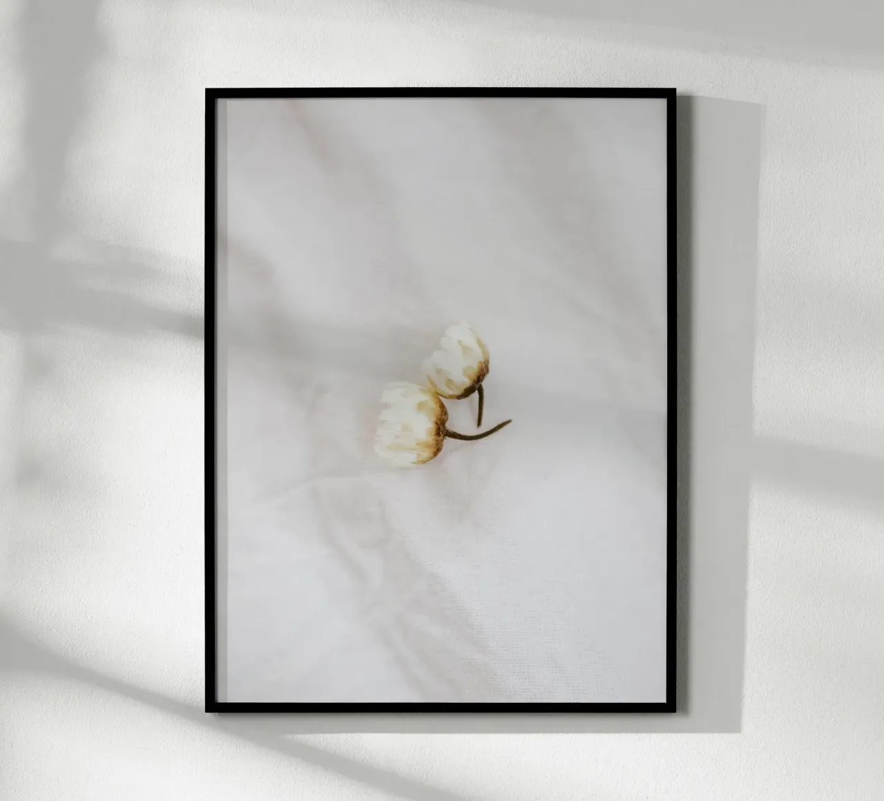 Amore floreale semplice - margherite su lino bianco carta hahnemühle da youdiful