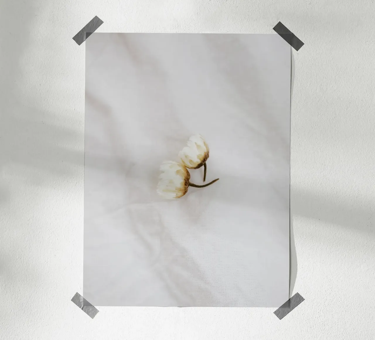 Amore floreale semplice - margherite su lino bianco carta hahnemühle da youdiful