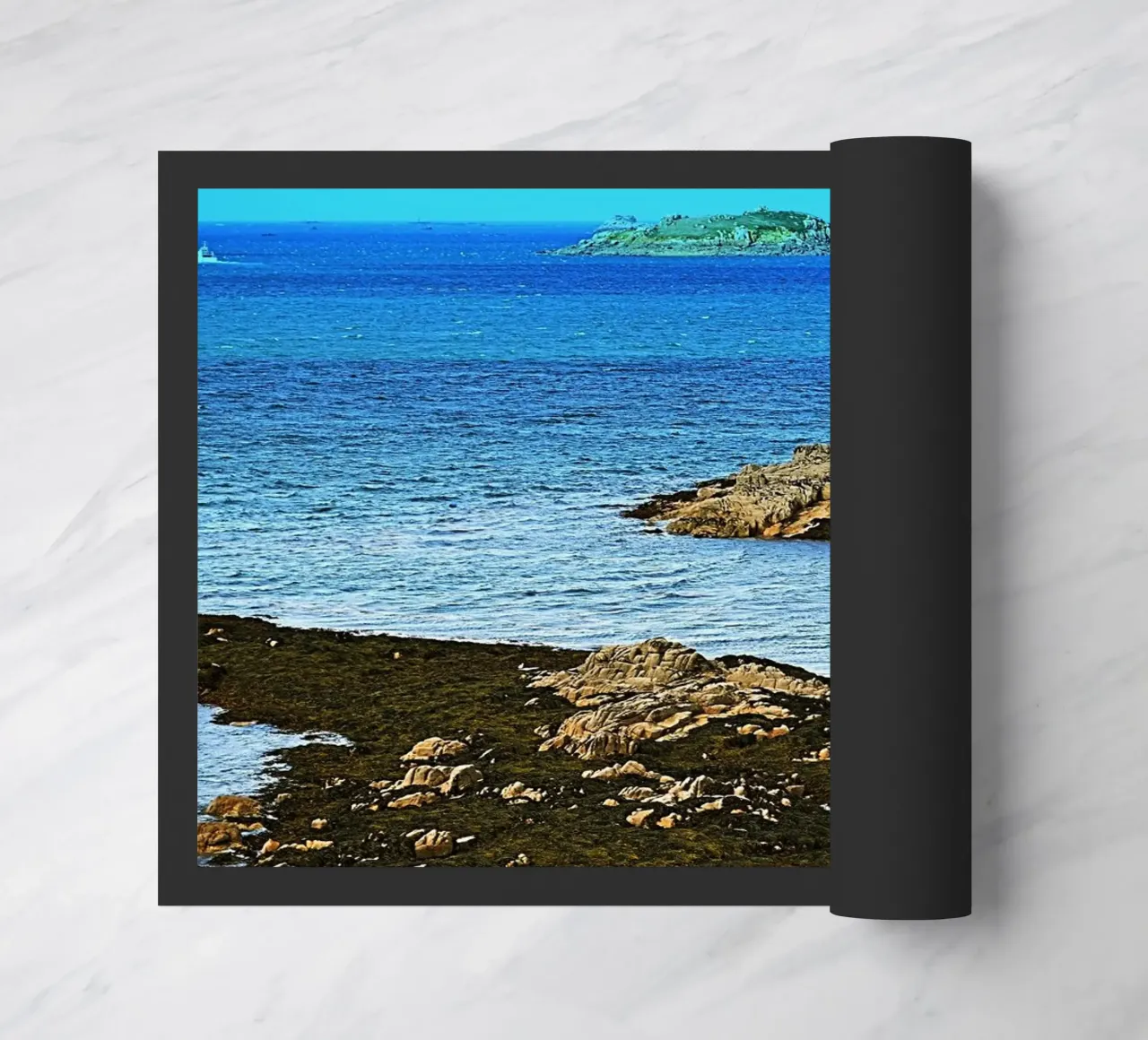 FAA238 zerbino da Thierry vobmann photography