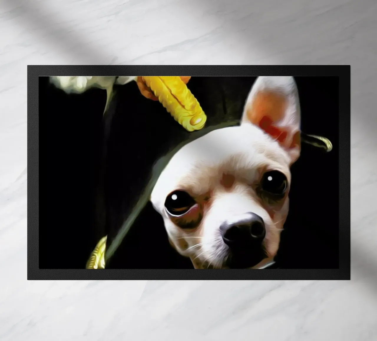 Petit Pablo zerbino da Tein Lucasson