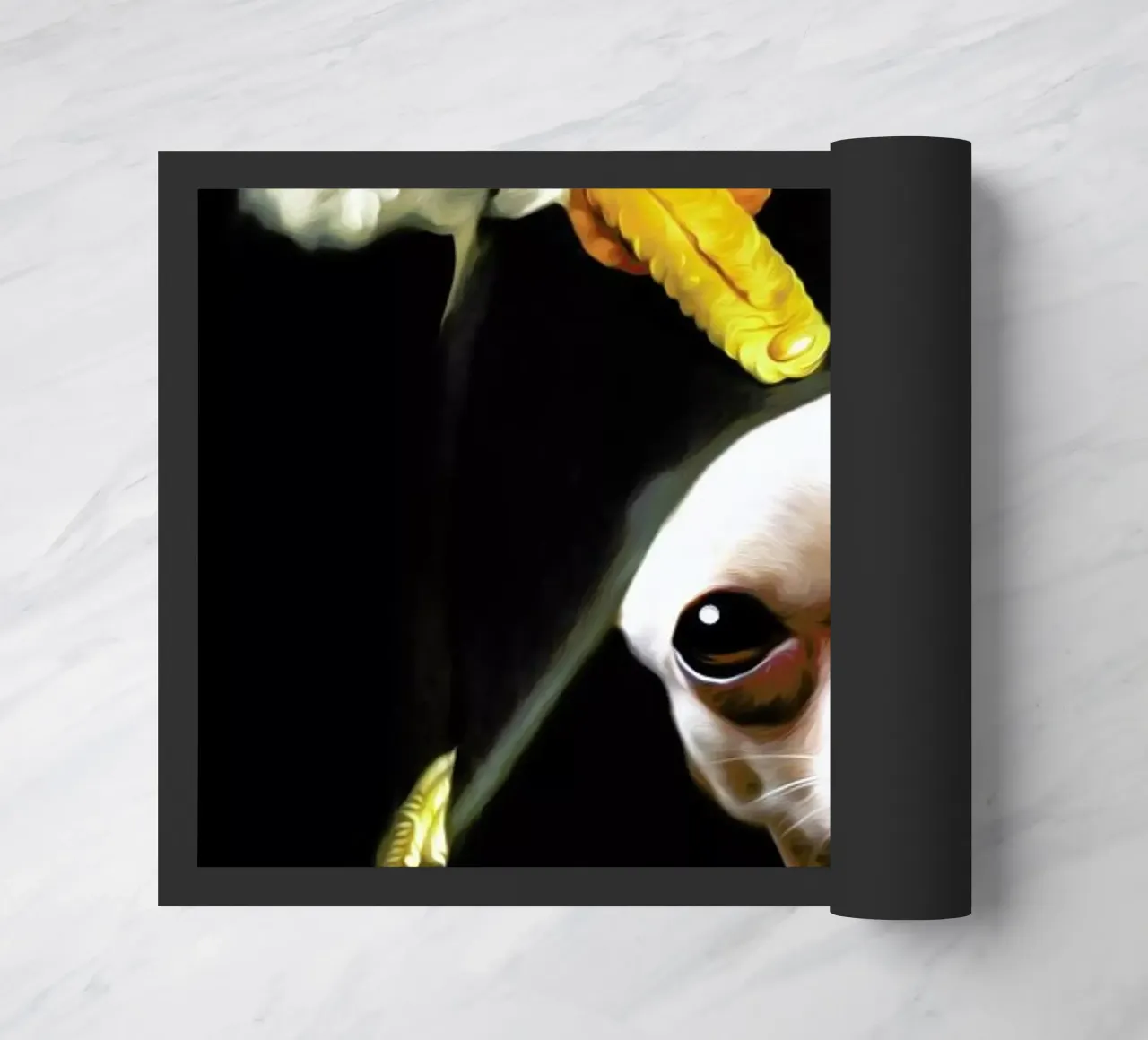 Petit Pablo zerbino da Tein Lucasson