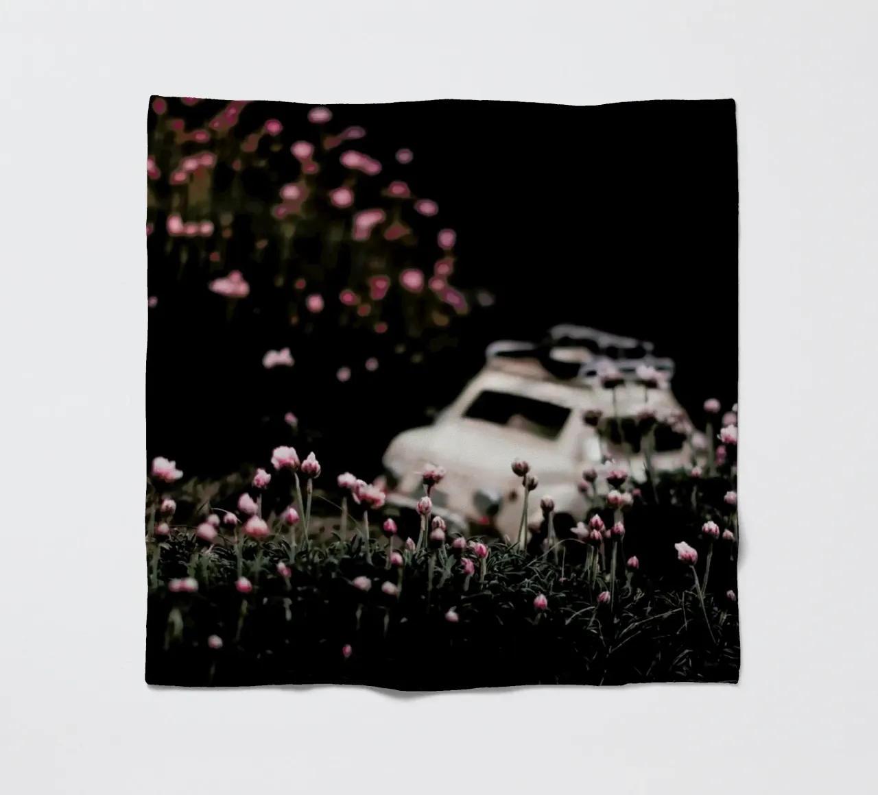 The Little Adventurer coperta in pile da Ingrid Beddoes