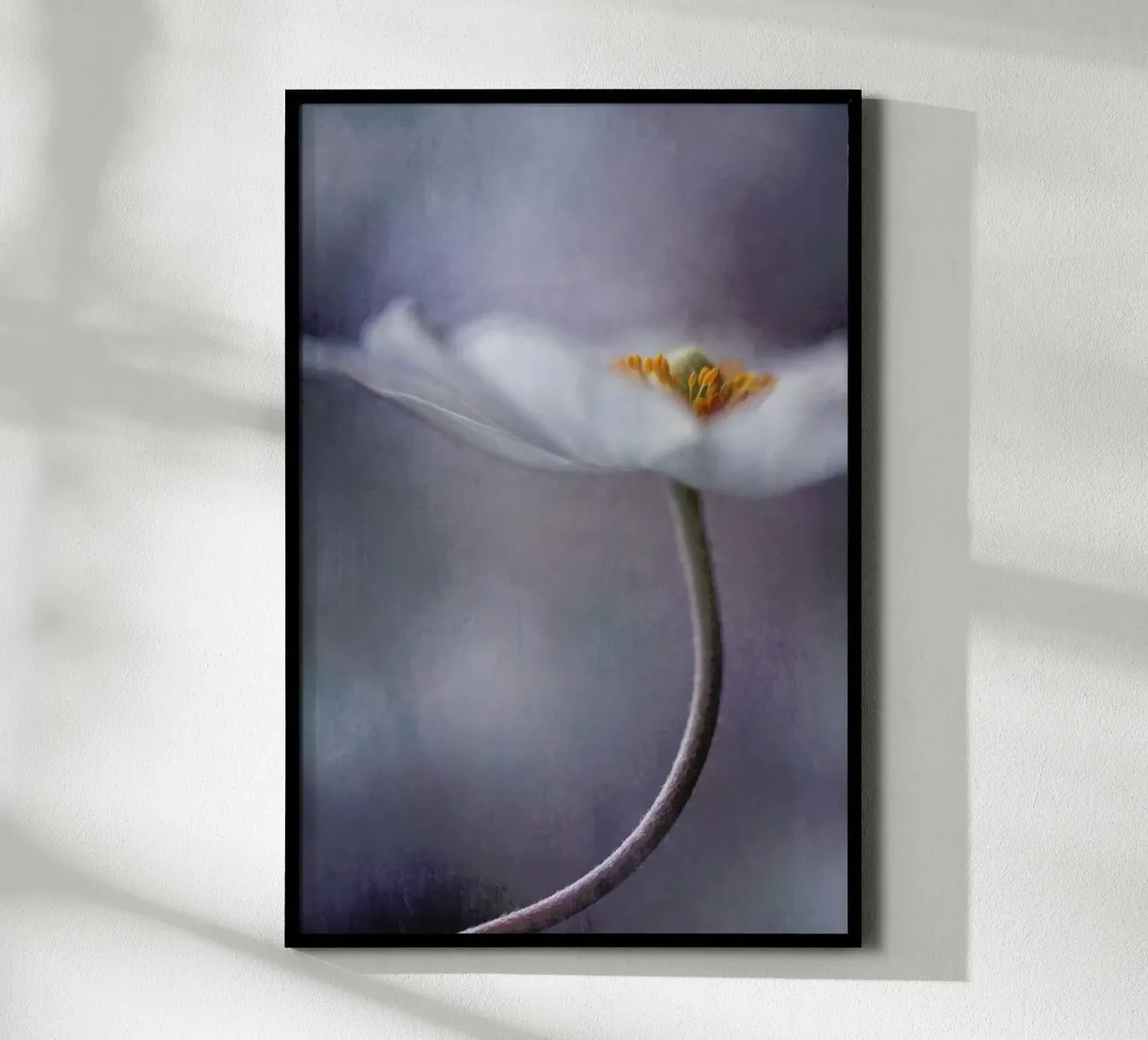The Beauty Within - Priska Wettstein carta hahnemühle da Pictufy
