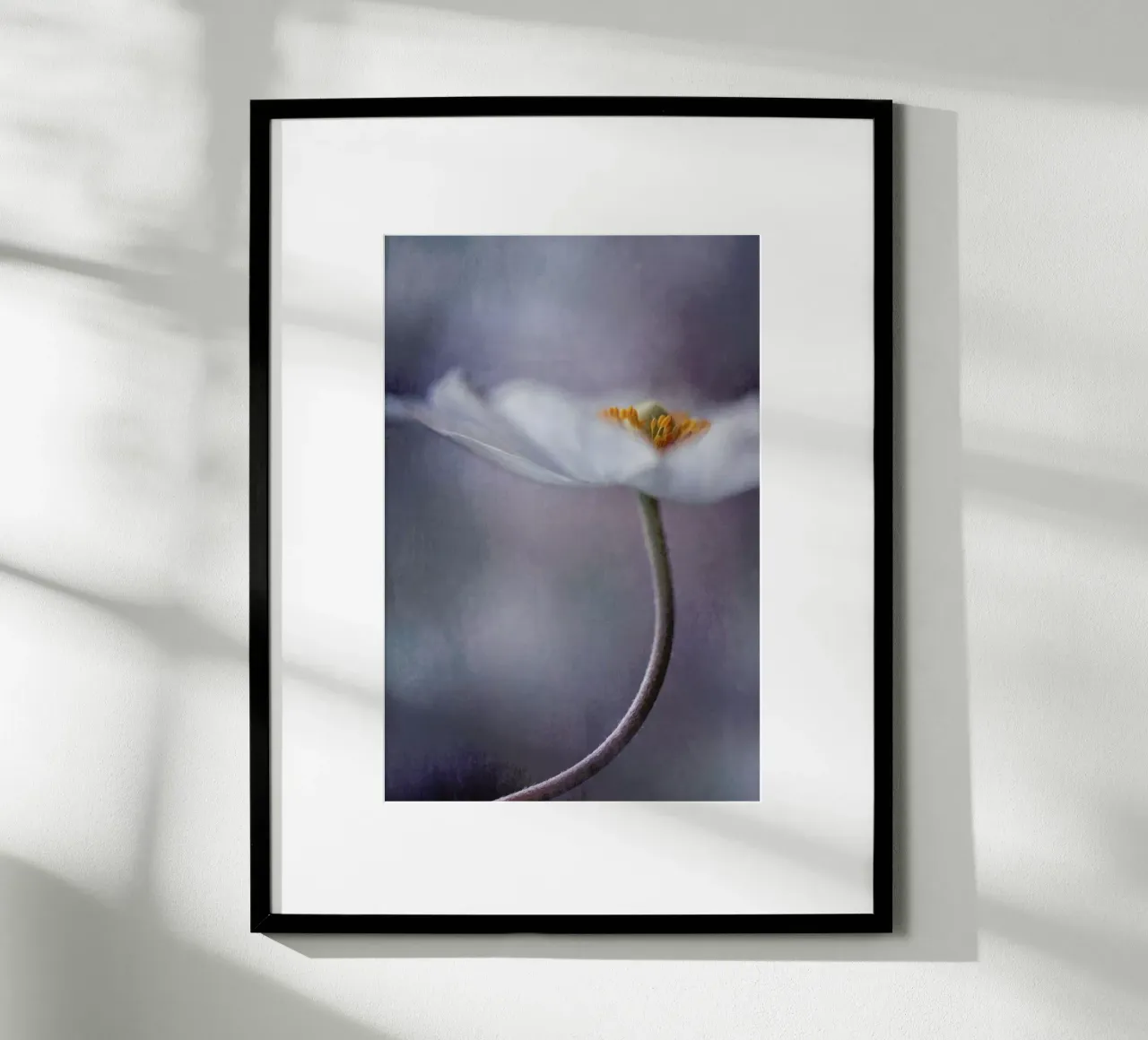 The Beauty Within - Priska Wettstein carta hahnemühle da Pictufy