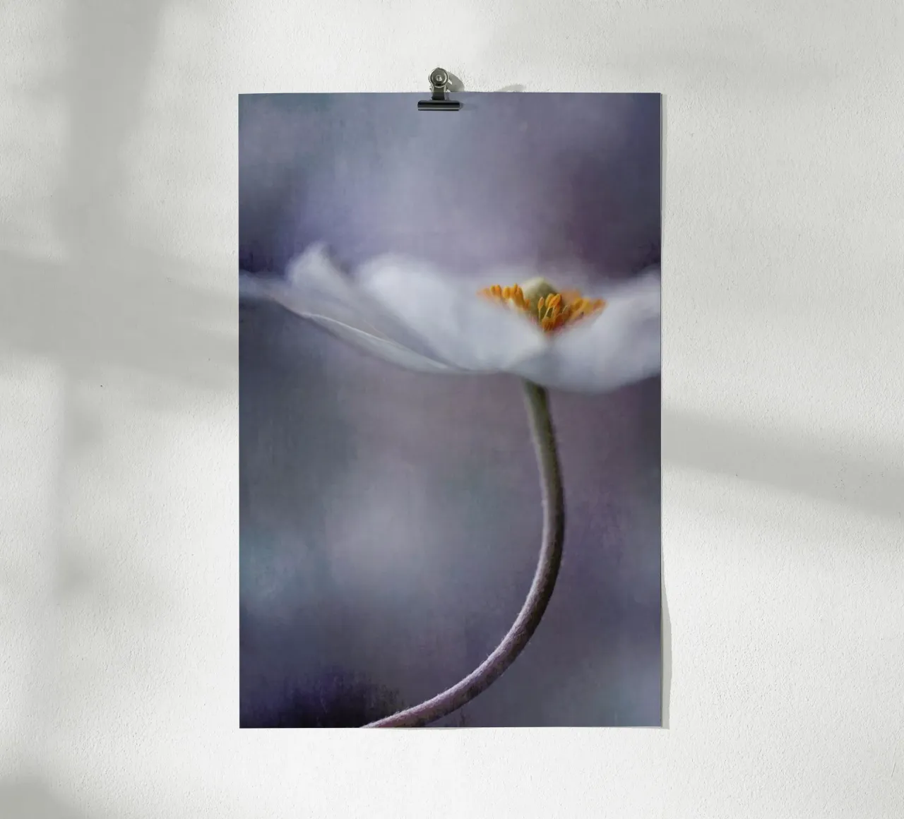 The Beauty Within - Priska Wettstein carta hahnemühle da Pictufy