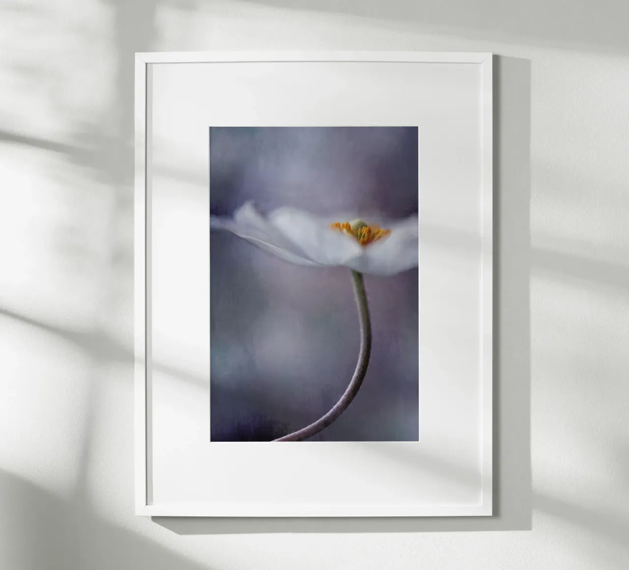 The Beauty Within - Priska Wettstein carta hahnemühle da Pictufy