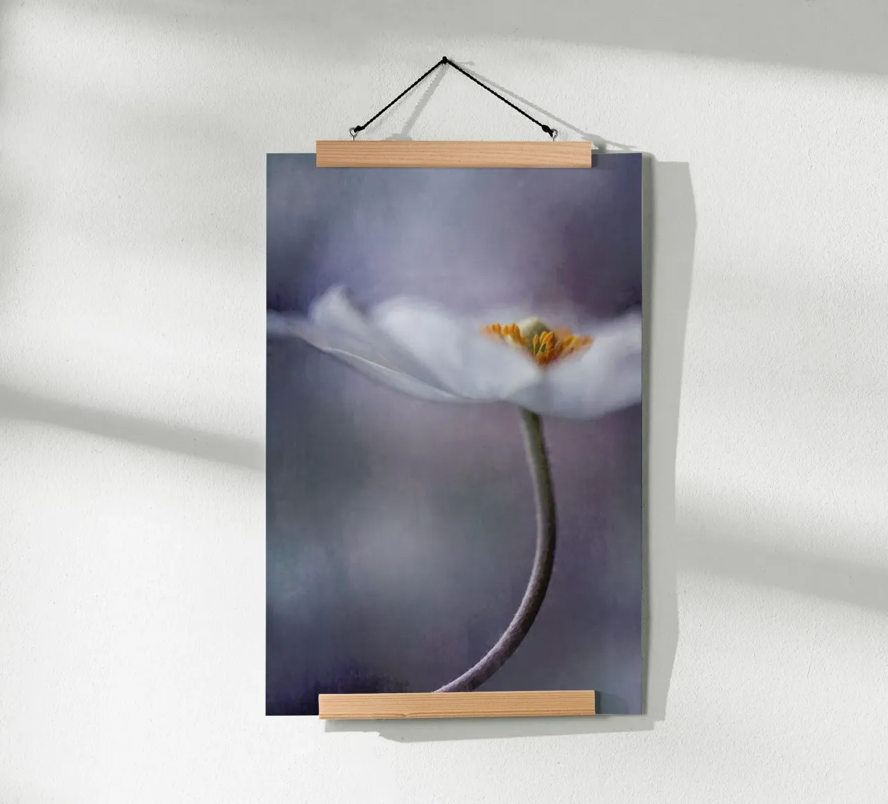 The Beauty Within - Priska Wettstein carta hahnemühle da Pictufy