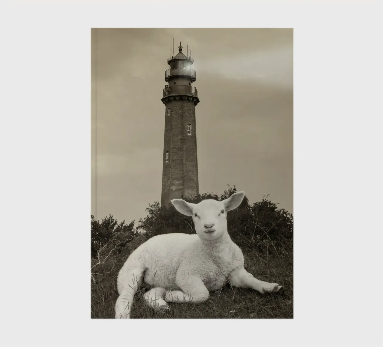 Lamb and lighthouse notebook by Barbara Buderath Fotodesign