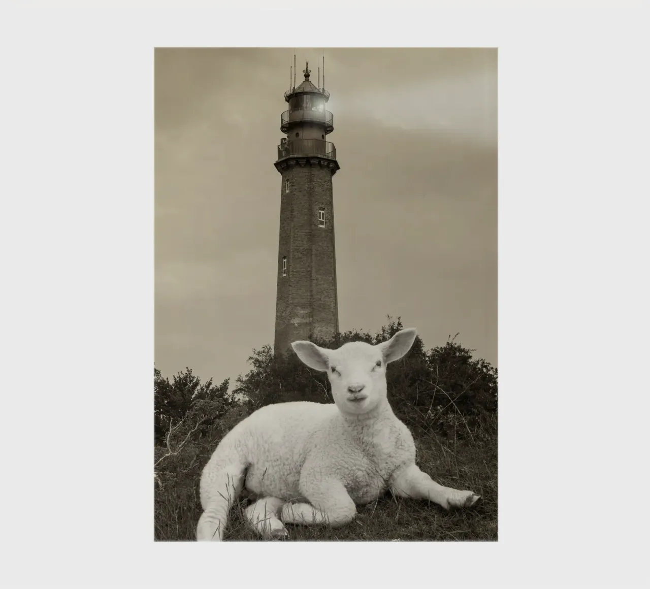 Lamb and lighthouse notebook by Barbara Buderath Fotodesign