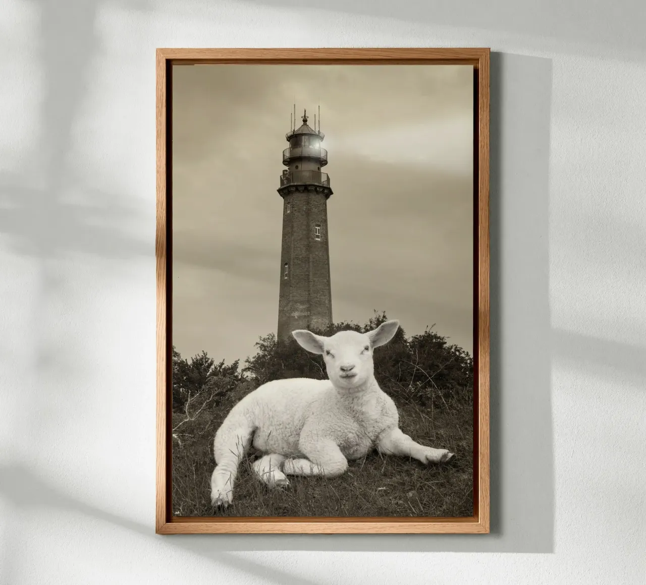 Agnello e faro alluminio dibond da Barbara Buderath Fotodesign