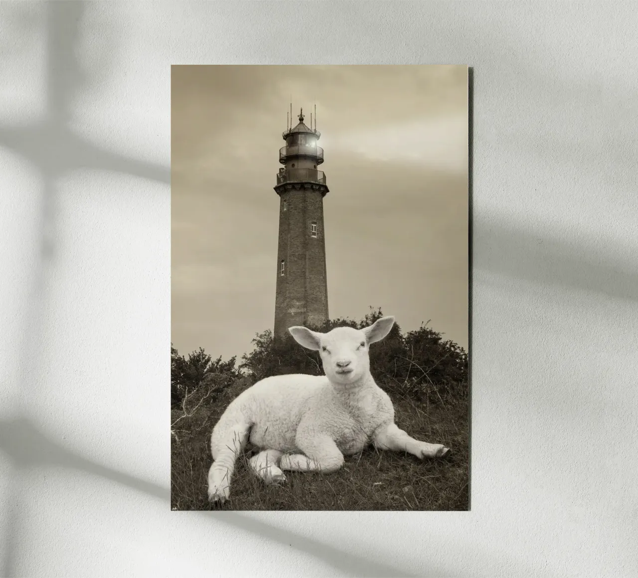 Agnello e faro alluminio dibond da Barbara Buderath Fotodesign