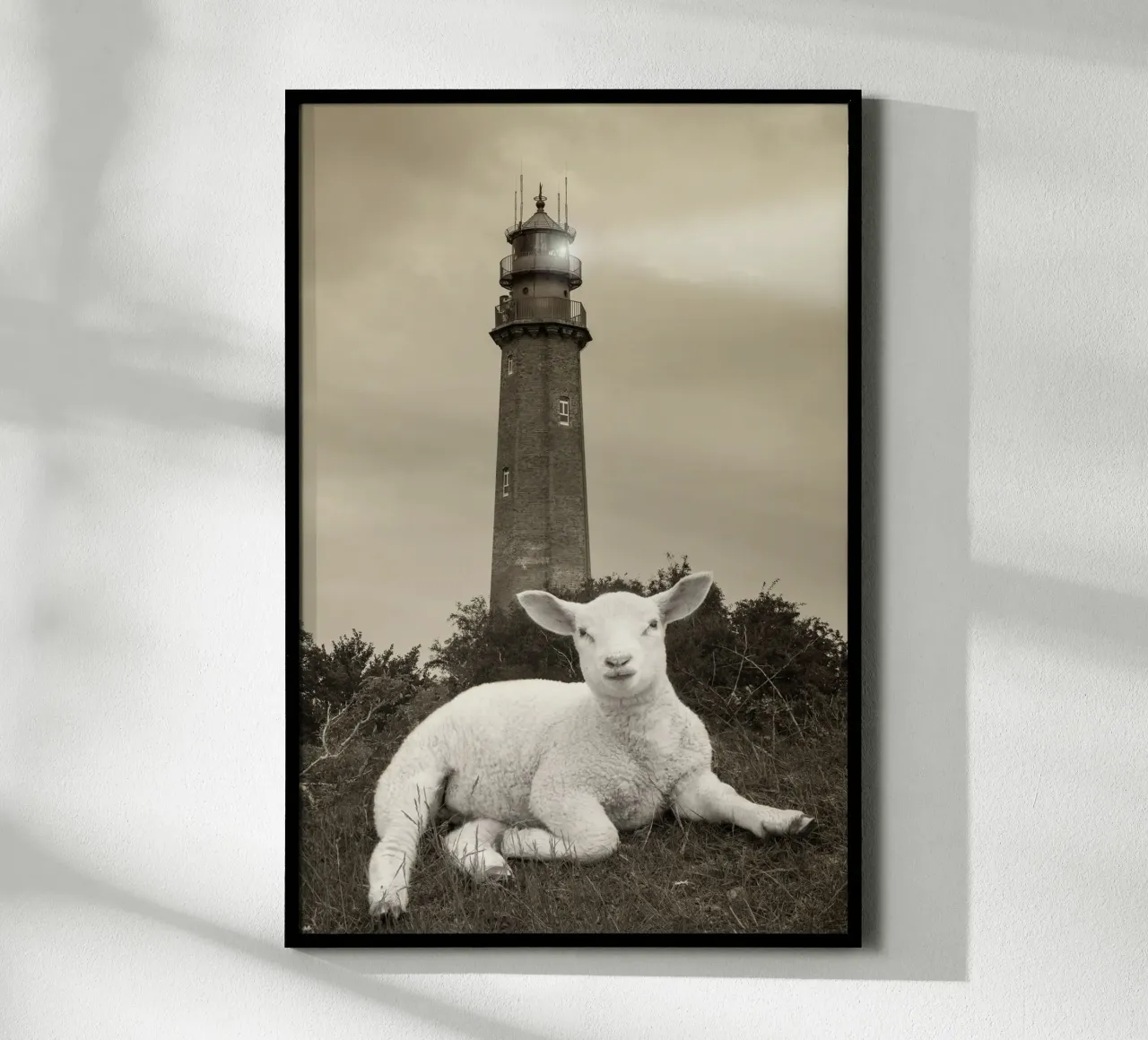 Agnello e faro carta hahnemühle da Barbara Buderath Fotodesign
