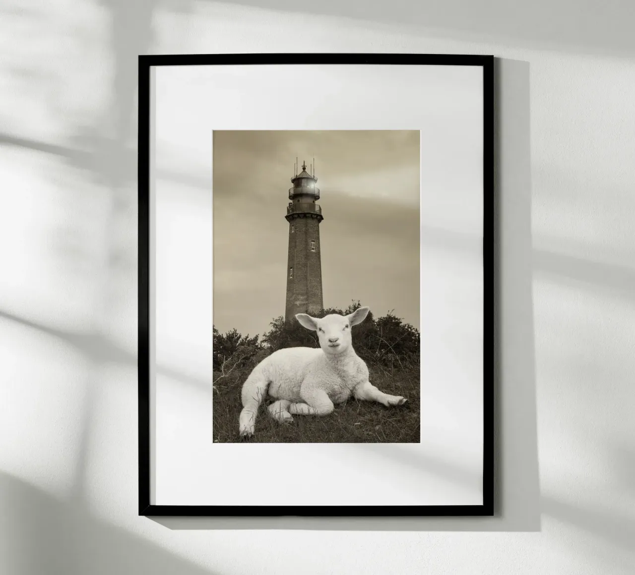 Agnello e faro carta hahnemühle da Barbara Buderath Fotodesign