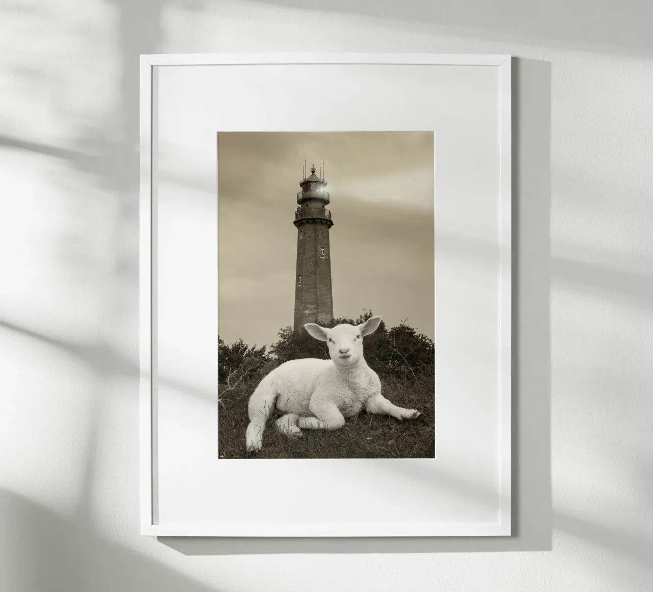 Agnello e faro carta hahnemühle da Barbara Buderath Fotodesign
