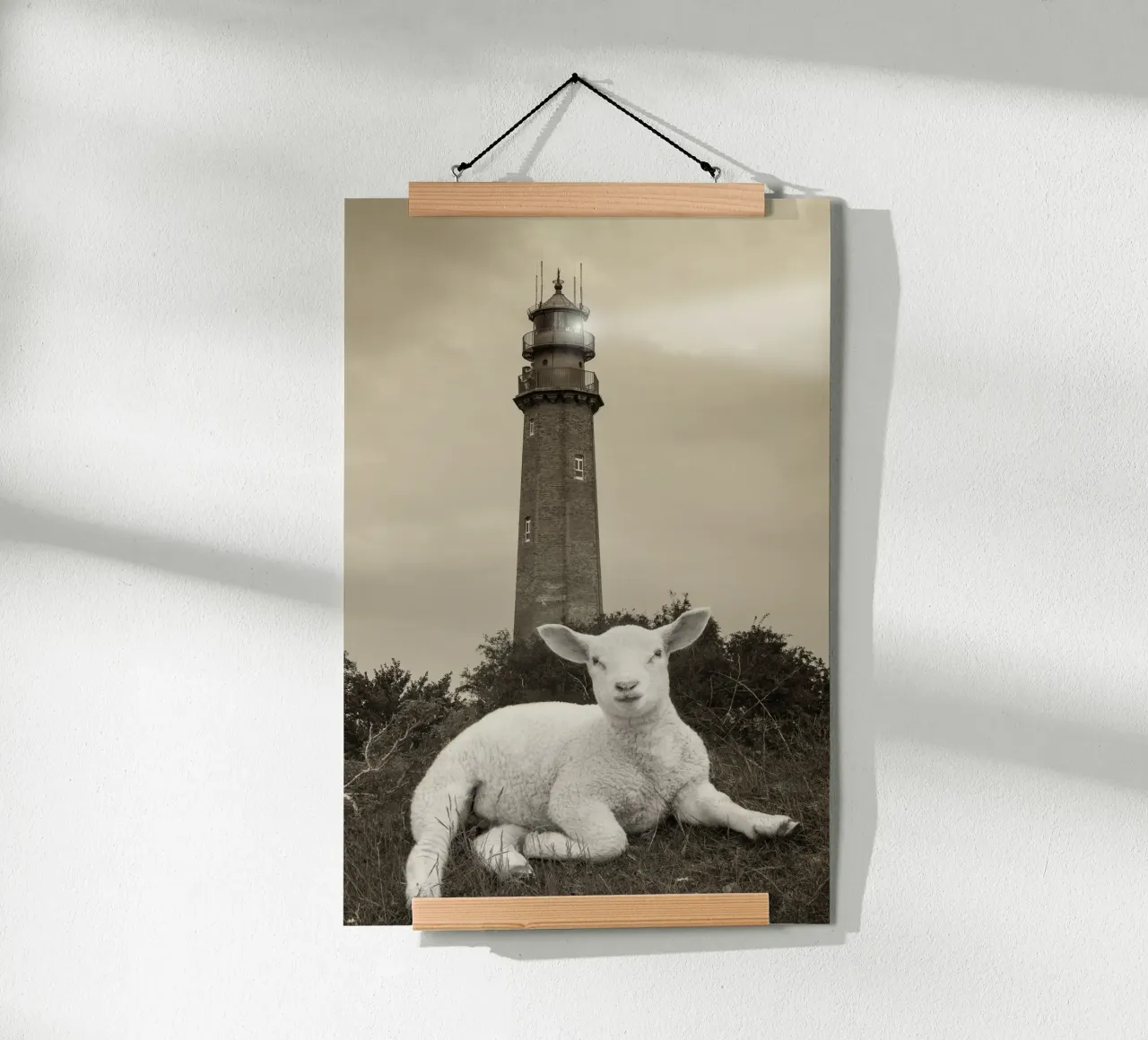 Agnello e faro carta hahnemühle da Barbara Buderath Fotodesign
