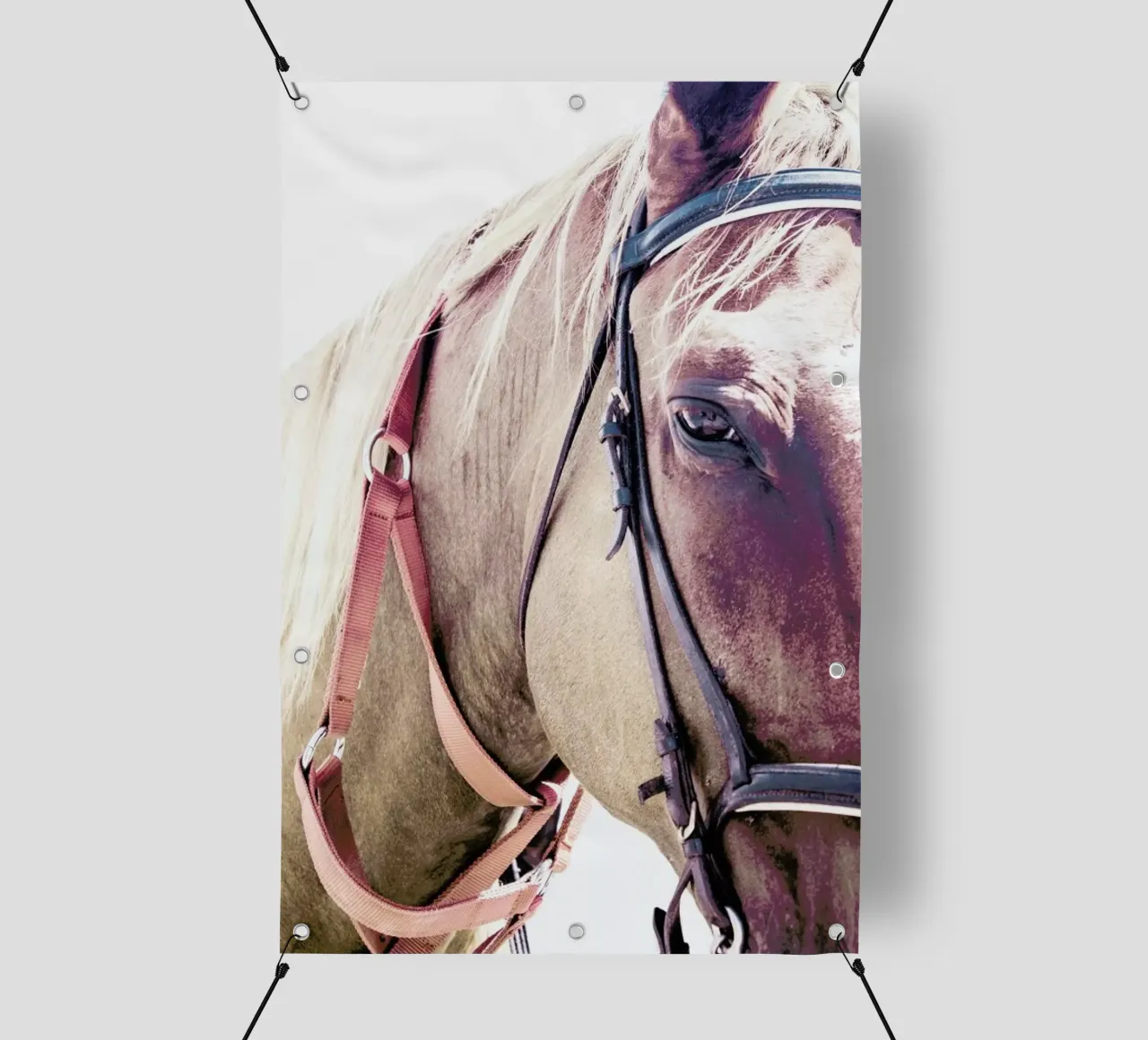 Horses II telo in pvc da Victoria Frost