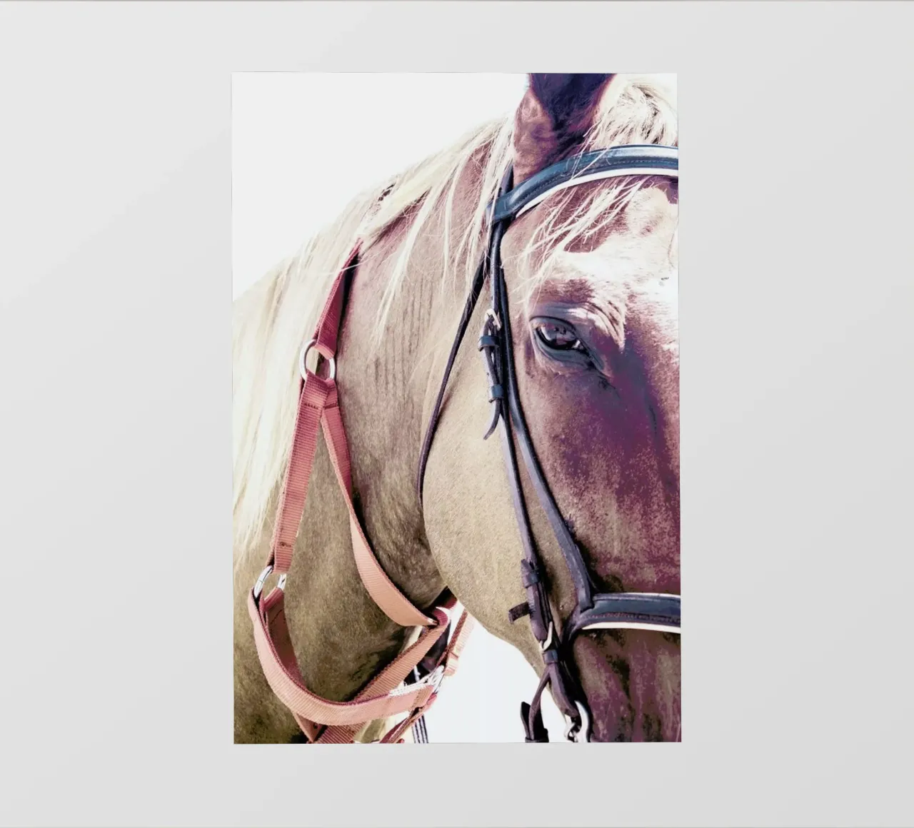 Horses II telo in pvc da Victoria Frost
