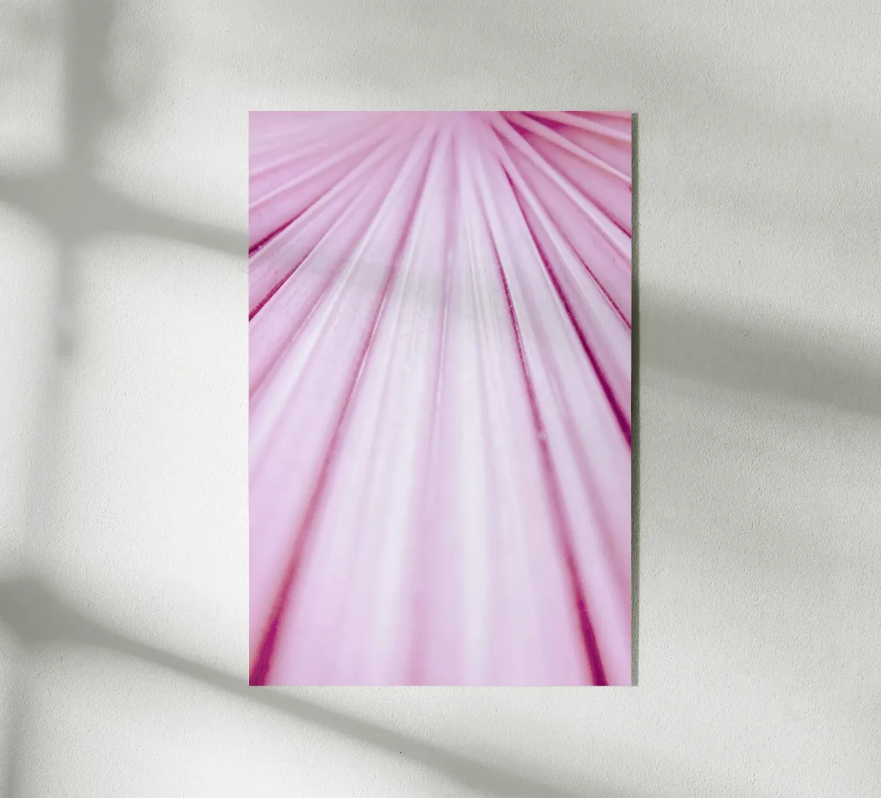 Pink Palm plexiglass da Victoria Frost