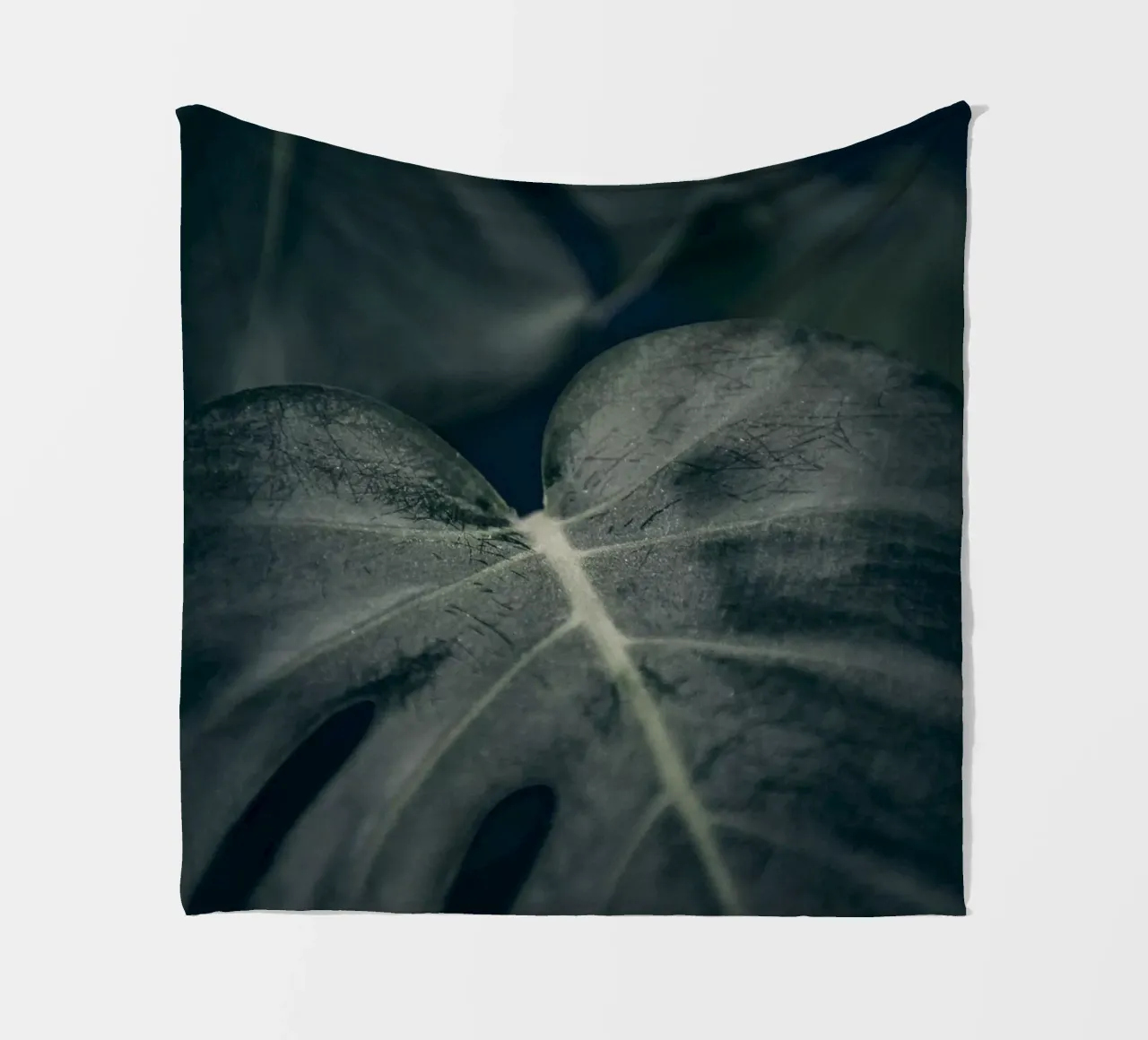 Moody Monstera 2 coperta in pile da Klaus with K