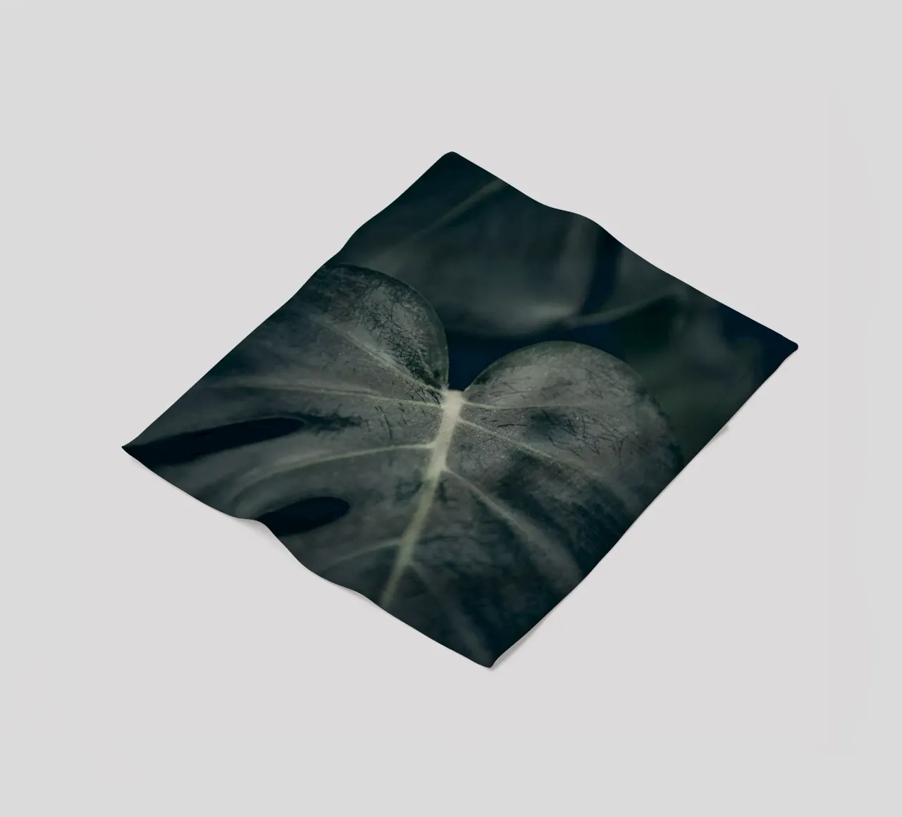 Moody Monstera 2 coperta in pile da Klaus with K