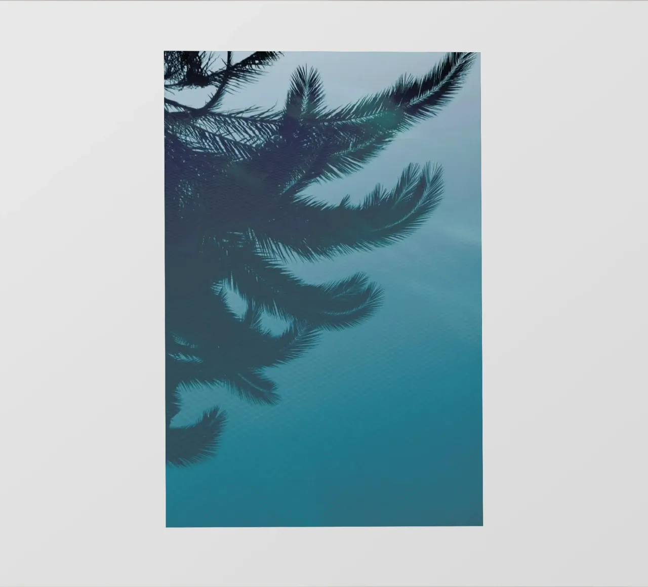 Palms In The Pool Backlit Folie von Studio Nahili