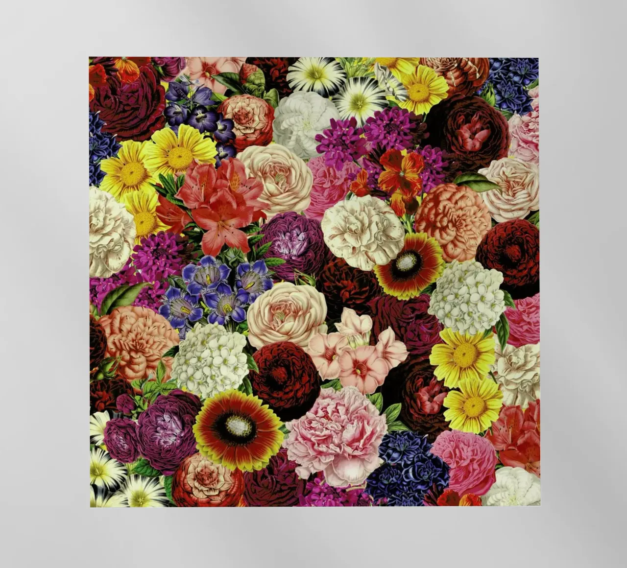 Spring Explosion pellicola backlit da Tobe Fonseca