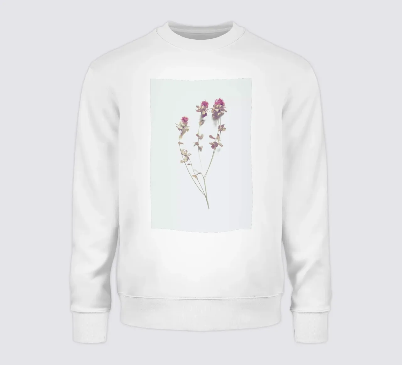 Cardoon I felpa da Elena Veronese