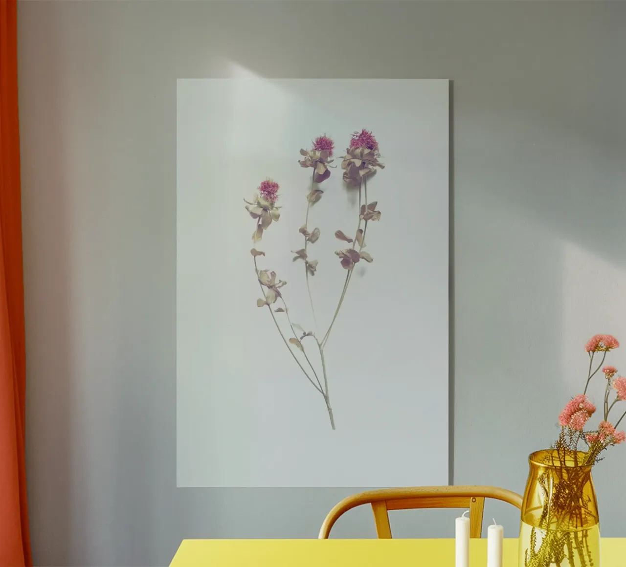 Cardoon I plexiglass da Elena Veronese